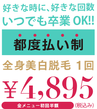 好きな時に、好きな回数　いつでも卒業OK!!! [都度払い脱毛] 全身美白脱毛1回