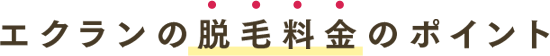 エクランの脱毛料金のポイント
