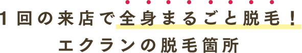 １回の来店で全身まるごと脱毛！エクランの脱毛箇所